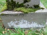 image of grave number 206283
